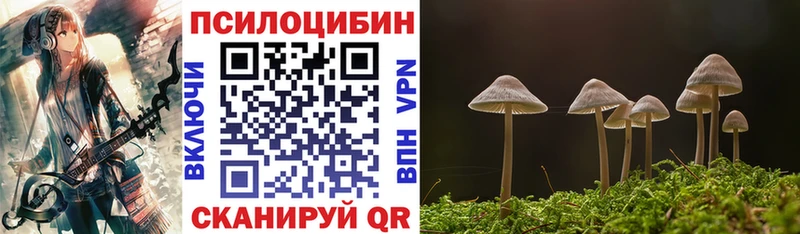 Галлюциногенные грибы мицелий  сайты даркнета клад  Белёв  купить закладку 